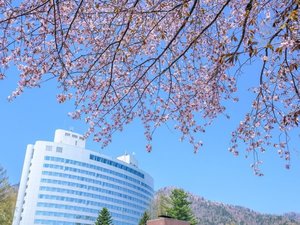 �V�x�ǖ�v�����X�z�e���̎ʐ^