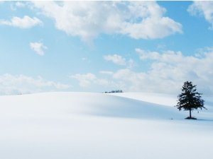 �x�ǖ�̗Y��Ȍi�F�@��ʂ̋␢�E�͑����̂ސ�i