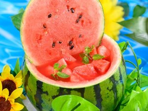 �k�C���Ă̖��o�f�B�i�[�u�b�t�F�u��������X�C�J��ǂ����낱���v�t�F�A�@7��4��(�y)�`8��15��(�y)