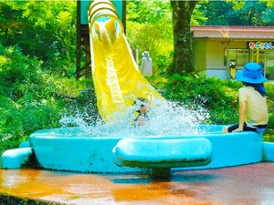Park and Stay ����e�̐X�����̎{�ݎʐ^1
