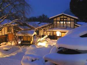 灯色の灯りに照らされる夜の雪景色。中央には樹齢30年のしだれ桜