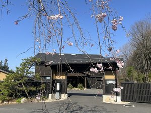 【外観】シダレザクラがお出迎え。