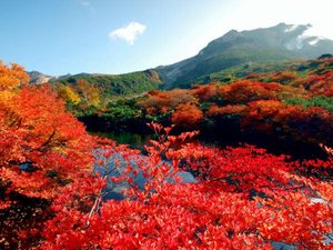 美しい紅葉に囲まれる秋の茶臼岳
