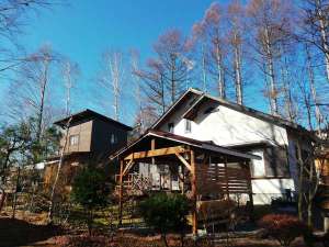 �ݕʑ��@�����x�Γ��K�[�f�������瑑�̎ʐ^