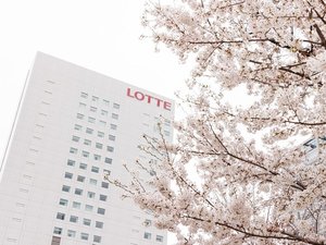春にはホテル周辺を桜が彩ります