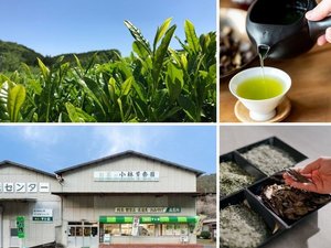 竹亭よりお車で約8分「小林芳香園」1862年創業の老舗茶舗。茶摘み体験、お茶の淹れ方体験ができます。