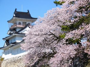 【当館から徒歩約1分】富山城の跡地で、桜の名所として知られる(春は桜)「富山城址公園」