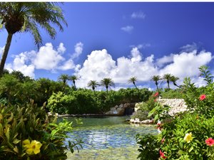 �y�V�M����������/�W�����O���v�[���z�������p�̃W�����O���v�[���͉����Ȃ̂�1�N�������p�\�ł��B
