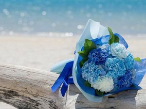 �y�L�O���I�v�V����/�L���z�A�j�o�[�T���[�t�H�g�œ��ʂ�1�����J�^�`�Ɏc���܂��񂩁i6���O�܂łɗv�\��j