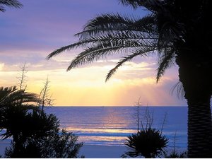 BeachFront Auberge Litore̎{ݎʐ^1