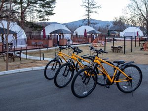 施設内で借りられるレンタサイクル