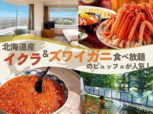 �D�y�k�L���N���b�Z�z�e���̎{�ݎʐ^1