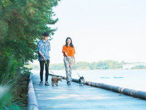 �y�b�g���]�[�g�@�u���C���Y�@�V���̎ʐ^