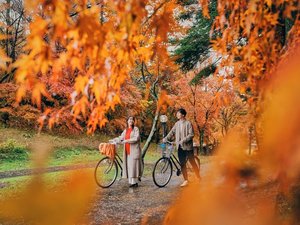 秋の紅葉の中、サイクリングも イメージ