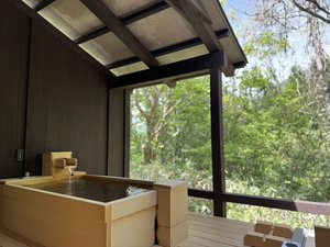 �y�q�����C���z�P�q���̏�51�u�i�I�V���C�j