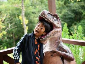 ����܋����̐X�͋��������ق��͂��߃f�B�m�p�[�N�⏬���Ȃ��q�l�����̋��������Ȃǂ��y���ݐ���R�I