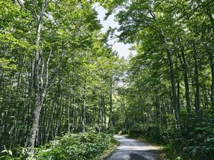 【周辺観光】夏の蔵王は避暑地としておすすめ