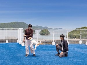 【DOG PARK(屋上)】