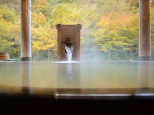 �R�K�I�V���C�u���q�̓��v