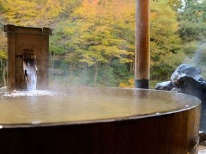 �R�K�I�V���C�u���q�̓��v