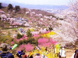 �����s�u�Ԍ��R�����v