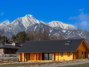 超レア!!高線量!!増富温泉ラジウム黒鉱石（152)吸入用 超レア!!超高線量!!増富温泉ラジウム黒鉱石（12）