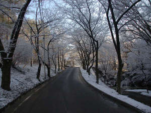 例年12月下旬〜2月下旬ころは雪景色をお楽しみいただけます。