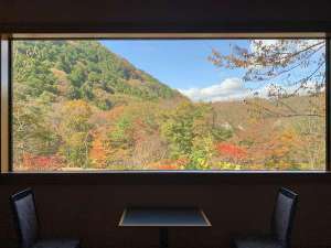 2019年11月9日 紅葉も終わりをむかえてきました