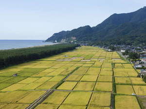 �z�e���򒹂��猩����c�����i