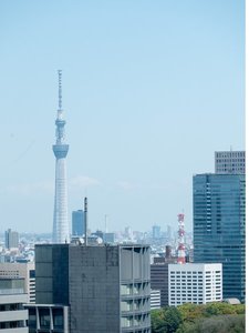 スタンダードツインからの風景(スカイツリー側)
