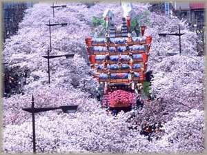 �Ђ������C�̏h�@�͂����̎ʐ^