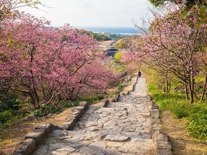 今帰仁城趾まで20分