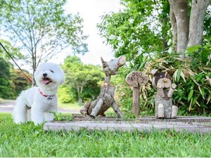 至るところに緑がありフォト撮影にもおすすめのワンちゃんとともに過ごせるリゾート