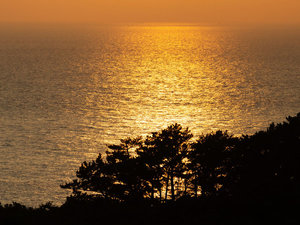 海に沈む夕日を眺めて、思い出を作ろう!