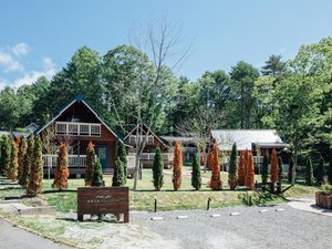 AMBIENT �����x�R�e�[�W�̎ʐ^