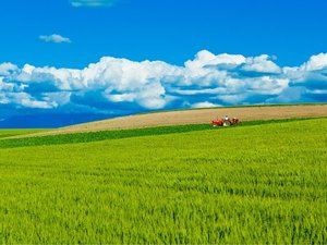 Hokkaido