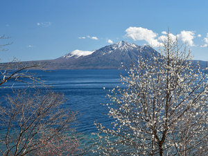 ���������u�x┌΁v�t�̃C���[�W