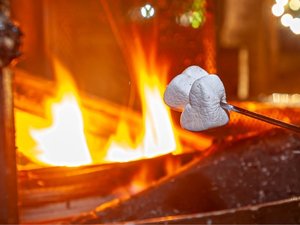 ���΃e���X�ł̓}�V���}���̑��ɋG�ߖ��ɍ��킹�Ă����X�₨���邱�Ȃǂ��������܂��B