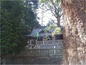 《五所神社》湯河原の由緒正しき神社です。