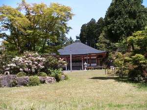 石楠花と本堂
