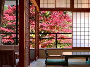 【標準客タイプ】秋の紅葉