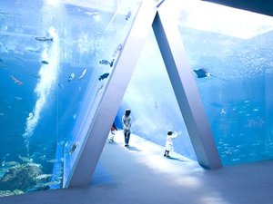 【環境水族館アクアマリンふくしま】東北最大級の楽しく学べる体験型水族館