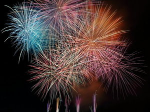�s2026�N9��5��LIVEMAX�ԉΑ��J�Át���ɍ炫�ւ�5,000���̉ԉ΂��A���Ђ��̊����������I