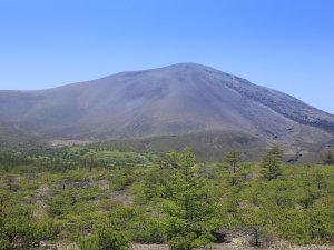 【浅間山】高原植物を鑑賞できる標高2,568mの活火山