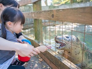動物とのふれあい体験もできる!お子様にも楽しめる【那須どうぶつ王国】