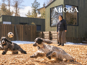 �{��