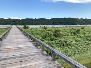世界一長い木造歩道橋「蓬莱橋」