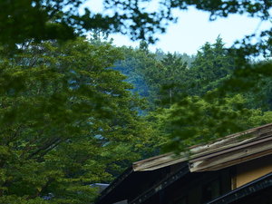 自然に囲まれた当館で、愛犬との思い出に残る温泉旅を。