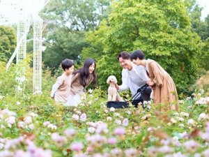 Gunma Flower Park +。当館から近くにある、2025年10月にリニューアルオープンした花のテーマパーク。