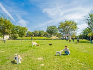 世界の名犬牧場。日本最大級の広さを誇るドッグランをはじめ、ワンちゃん設備を完備したドッグリゾート。